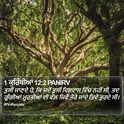 1 ਕੁਰਿੰਥੀਆਂ 12:2 PANIRV Bible Verse Image