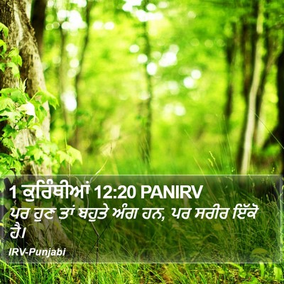 1 ਕੁਰਿੰਥੀਆਂ 12:20 PANIRV Bible Verse Image