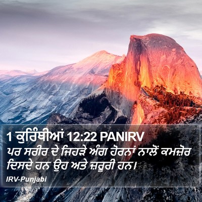 1 ਕੁਰਿੰਥੀਆਂ 12:22 PANIRV Bible Verse Image