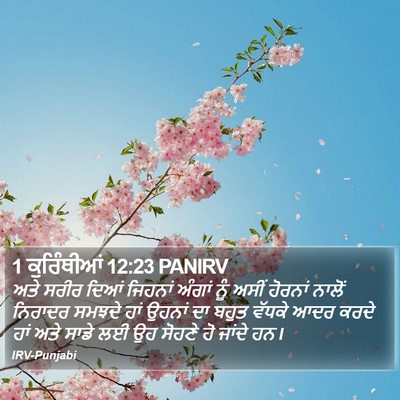 1 ਕੁਰਿੰਥੀਆਂ 12:23 PANIRV Bible Verse Image