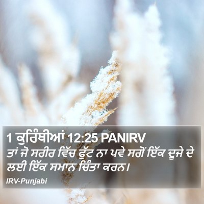 1 ਕੁਰਿੰਥੀਆਂ 12:25 PANIRV Bible Verse Image