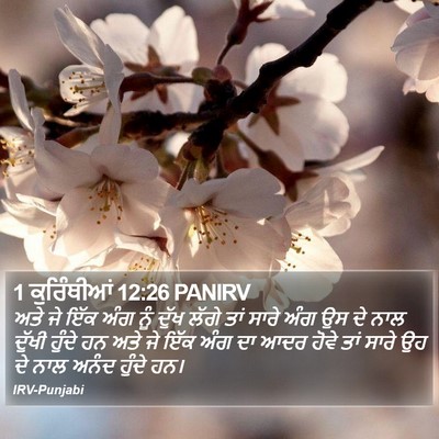 1 ਕੁਰਿੰਥੀਆਂ 12:26 PANIRV Bible Verse Image