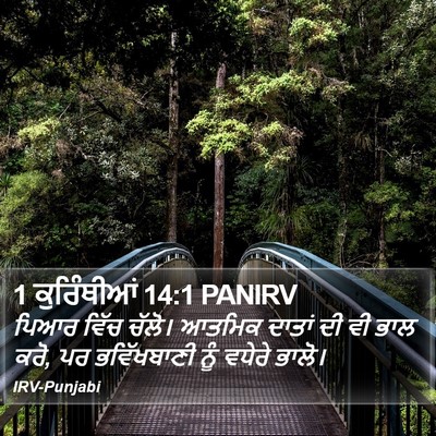 1 ਕੁਰਿੰਥੀਆਂ 14:1 PANIRV Bible Verse Image