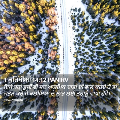 1 ਕੁਰਿੰਥੀਆਂ 14:12 PANIRV Bible Verse Image