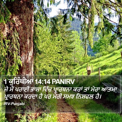 1 ਕੁਰਿੰਥੀਆਂ 14:14 PANIRV Bible Verse Image
