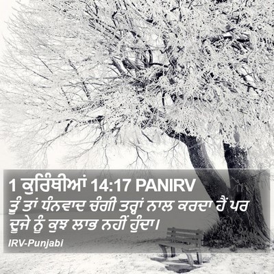 1 ਕੁਰਿੰਥੀਆਂ 14:17 PANIRV Bible Verse Image
