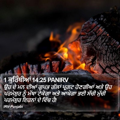 1 ਕੁਰਿੰਥੀਆਂ 14:25 PANIRV Bible Verse Image