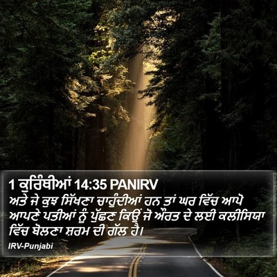 1 ਕੁਰਿੰਥੀਆਂ 14:35 PANIRV Bible Verse Image