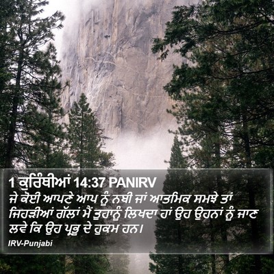 1 ਕੁਰਿੰਥੀਆਂ 14:37 PANIRV Bible Verse Image