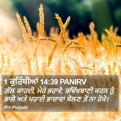 1 ਕੁਰਿੰਥੀਆਂ 14:39 PANIRV Bible Verse Image