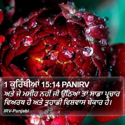 1 ਕੁਰਿੰਥੀਆਂ 15:14 PANIRV Bible Verse Image