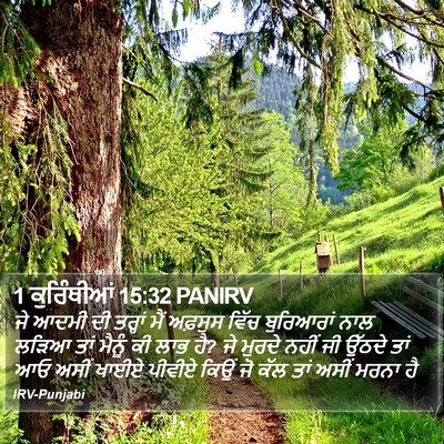 1 ਕੁਰਿੰਥੀਆਂ 15:32 PANIRV Bible Verse Image