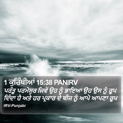 1 ਕੁਰਿੰਥੀਆਂ 15:38 PANIRV Bible Verse Image