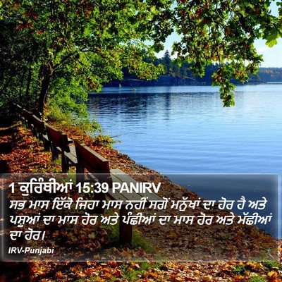 1 ਕੁਰਿੰਥੀਆਂ 15:39 PANIRV Bible Verse Image
