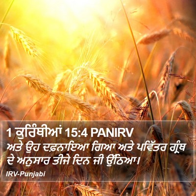 1 ਕੁਰਿੰਥੀਆਂ 15:4 PANIRV Bible Verse Image