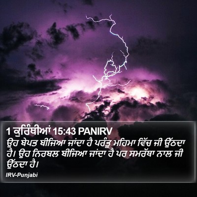 1 ਕੁਰਿੰਥੀਆਂ 15:43 PANIRV Bible Verse Image