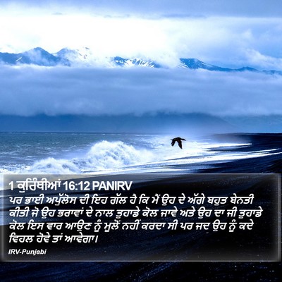 1 ਕੁਰਿੰਥੀਆਂ 16:12 PANIRV Bible Verse Image