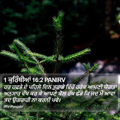 1 ਕੁਰਿੰਥੀਆਂ 16:2 PANIRV Bible Verse Image