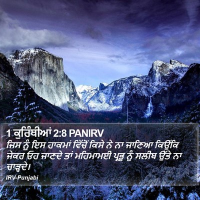 1 ਕੁਰਿੰਥੀਆਂ 2:8 PANIRV Bible Verse Image