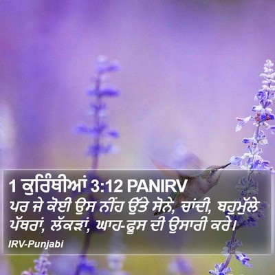 1 ਕੁਰਿੰਥੀਆਂ 3:12 PANIRV Bible Verse Image