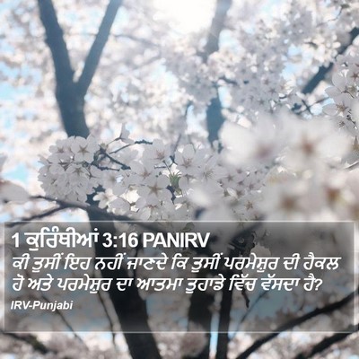 1 ਕੁਰਿੰਥੀਆਂ 3:16 PANIRV Bible Verse Image