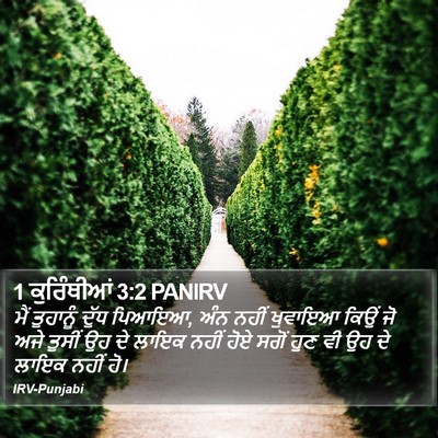 1 ਕੁਰਿੰਥੀਆਂ 3:2 PANIRV Bible Verse Image