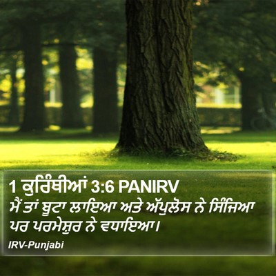 1 ਕੁਰਿੰਥੀਆਂ 3:6 PANIRV Bible Verse Image
