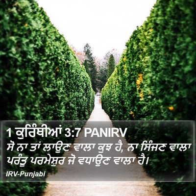 1 ਕੁਰਿੰਥੀਆਂ 3:7 PANIRV Bible Verse Image