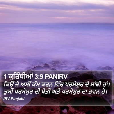 1 ਕੁਰਿੰਥੀਆਂ 3:9 PANIRV Bible Verse Image