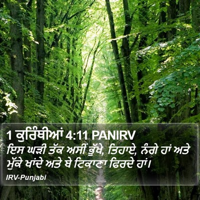 1 ਕੁਰਿੰਥੀਆਂ 4:11 PANIRV Bible Verse Image