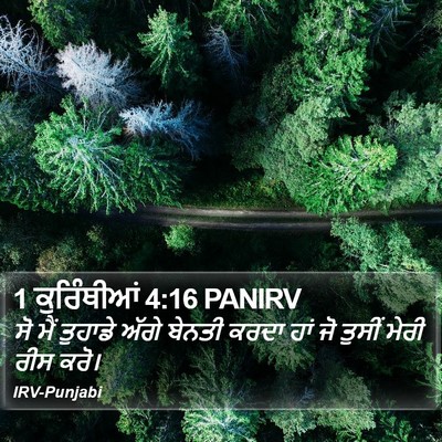 1 ਕੁਰਿੰਥੀਆਂ 4:16 PANIRV Bible Verse Image