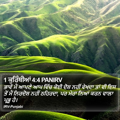 1 ਕੁਰਿੰਥੀਆਂ 4:4 PANIRV Bible Verse Image