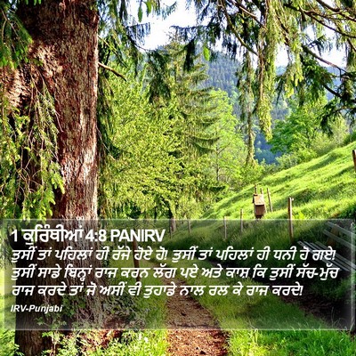 1 ਕੁਰਿੰਥੀਆਂ 4:8 PANIRV Bible Verse Image