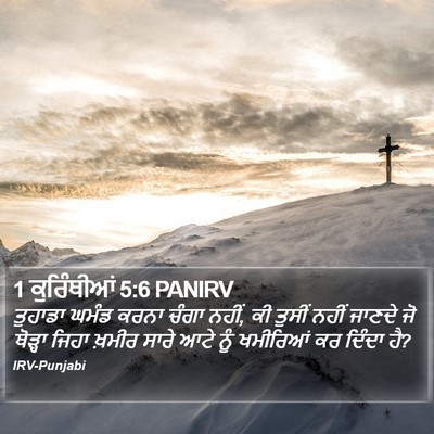 1 ਕੁਰਿੰਥੀਆਂ 5:6 PANIRV Bible Verse Image