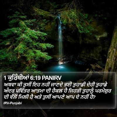 1 ਕੁਰਿੰਥੀਆਂ 6:19 PANIRV Bible Verse Image