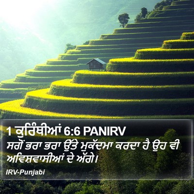 1 ਕੁਰਿੰਥੀਆਂ 6:6 PANIRV Bible Verse Image