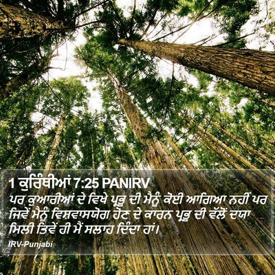 1 ਕੁਰਿੰਥੀਆਂ 7:25 PANIRV Bible Verse Image