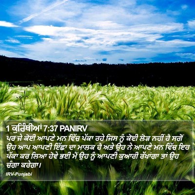 1 ਕੁਰਿੰਥੀਆਂ 7:37 PANIRV Bible Verse Image