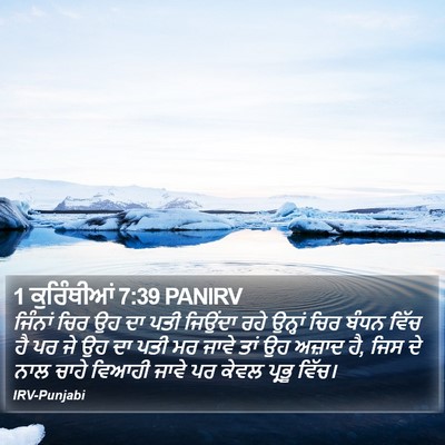 1 ਕੁਰਿੰਥੀਆਂ 7:39 PANIRV Bible Verse Image