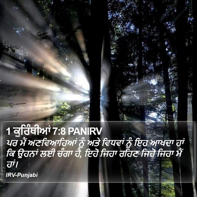 1 ਕੁਰਿੰਥੀਆਂ 7:8 PANIRV Bible Verse Image