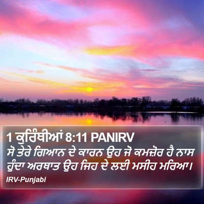 1 ਕੁਰਿੰਥੀਆਂ 8:11 PANIRV Bible Verse Image