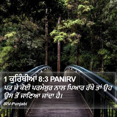 1 ਕੁਰਿੰਥੀਆਂ 8:3 PANIRV Bible Verse Image