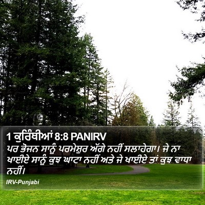 1 ਕੁਰਿੰਥੀਆਂ 8:8 PANIRV Bible Verse Image