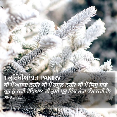 1 ਕੁਰਿੰਥੀਆਂ 9:1 PANIRV Bible Verse Image