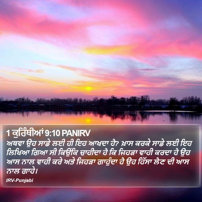 1 ਕੁਰਿੰਥੀਆਂ 9:10 PANIRV Bible Verse Image