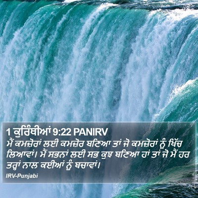 1 ਕੁਰਿੰਥੀਆਂ 9:22 PANIRV Bible Verse Image