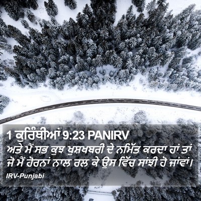 1 ਕੁਰਿੰਥੀਆਂ 9:23 PANIRV Bible Verse Image