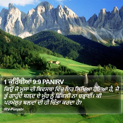 1 ਕੁਰਿੰਥੀਆਂ 9:9 PANIRV Bible Verse Image