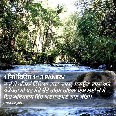 1 ਤਿਮੋਥਿਉਸ 1:13 PANIRV Bible Verse Image