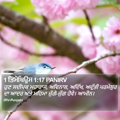 1 ਤਿਮੋਥਿਉਸ 1:17 PANIRV Bible Verse Image
